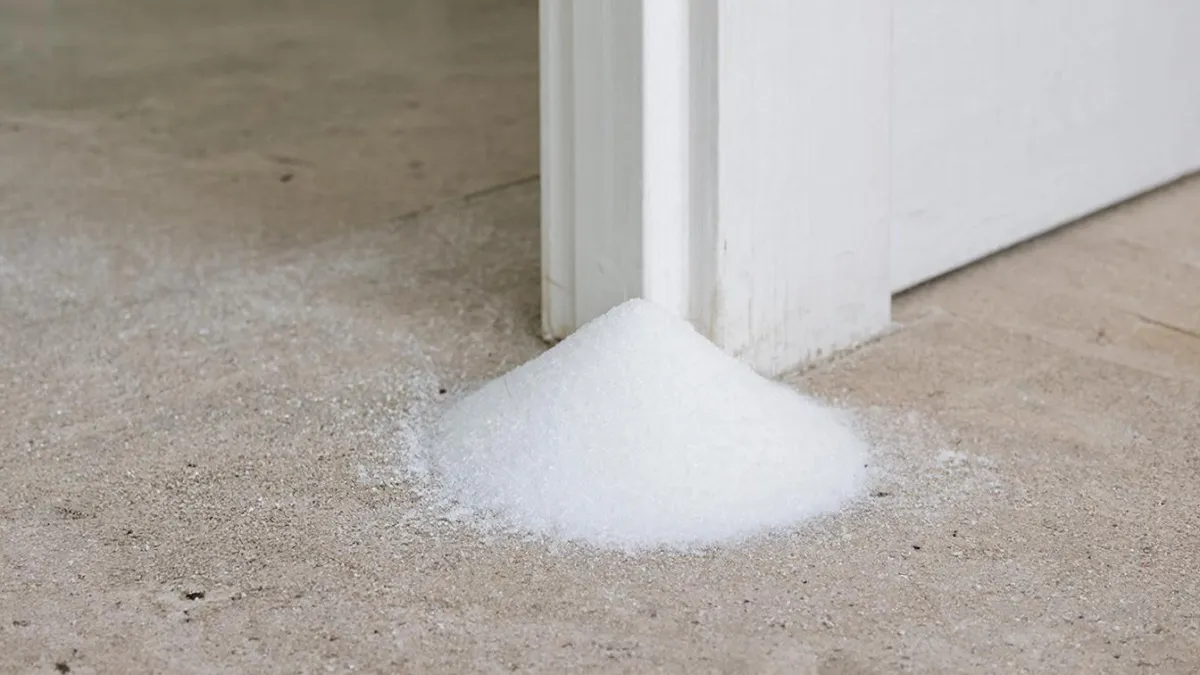 Посыпьте соль у порога и живите спокойно: вот почему это важно — древняя мудрость поражает своей актуальностью