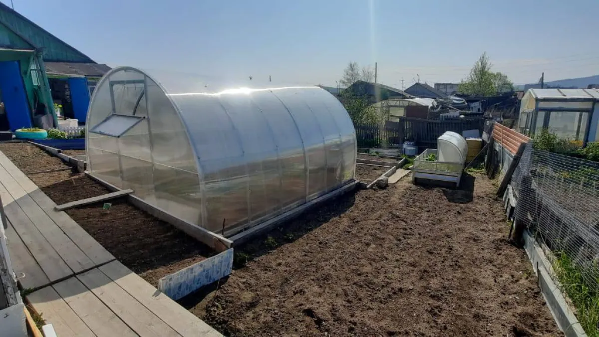 Пленка и поликарбонат больше не в моде: сейчас все выбирают для теплиц этот вариант — куда надежнее и удобнее