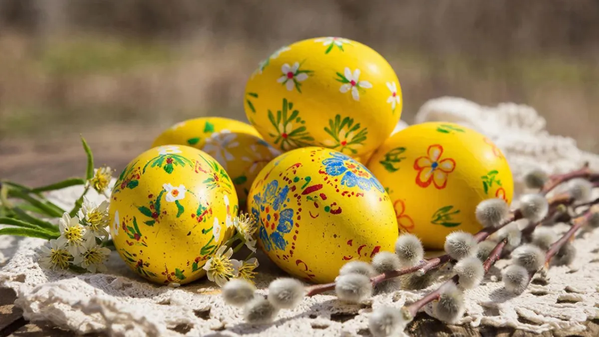 Не только цветок, но и краситель: опускаю пасхальные яйца в этот отвар — скорлупки становятся ярче «лимончиков»