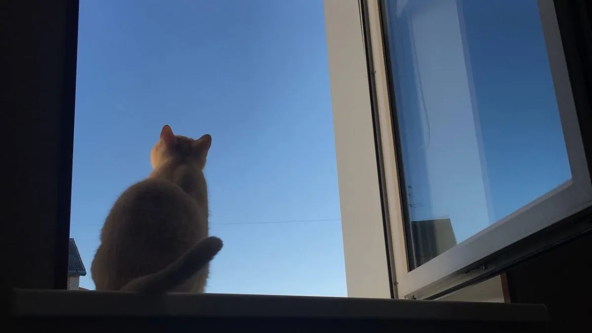 Тепло до +14 градусов придет в Московскую область: погода в регионе 13 марта