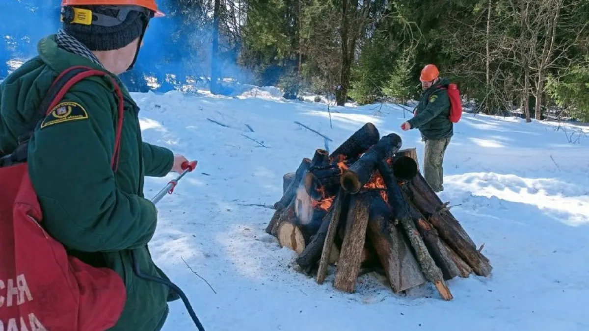 В Наро-Фоминском округе прошли учения по тушению лесных пожаров