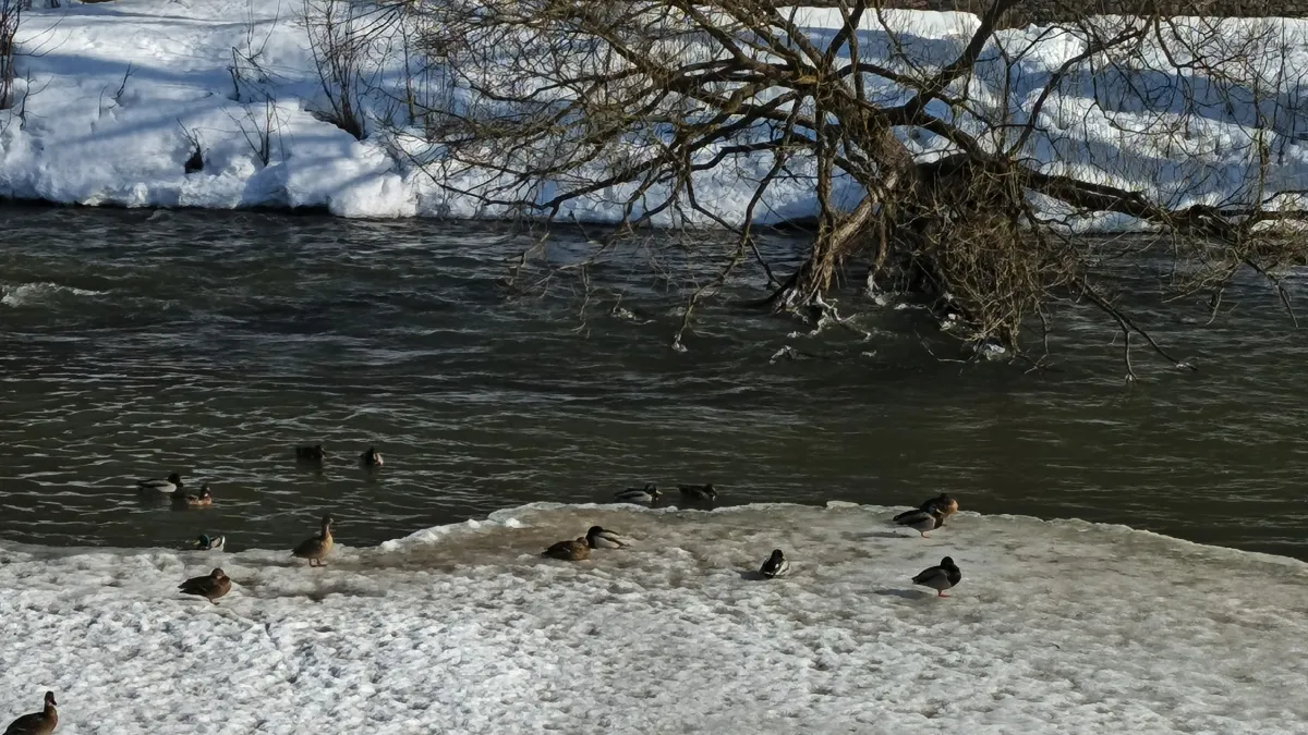 В Наро-Фоминском округе сотрудники служб следят за весенним паводком
