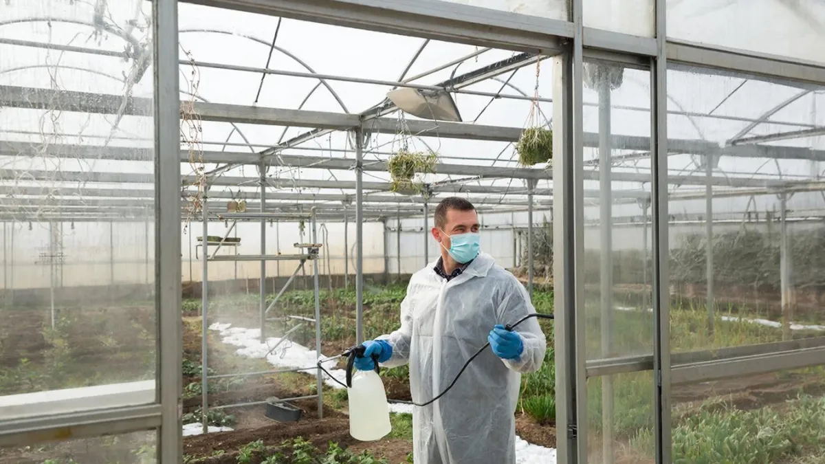 Лучший способ дезинфекции теплицы ранней весной: два простых ингредиента заменят дорогие магазинные средства