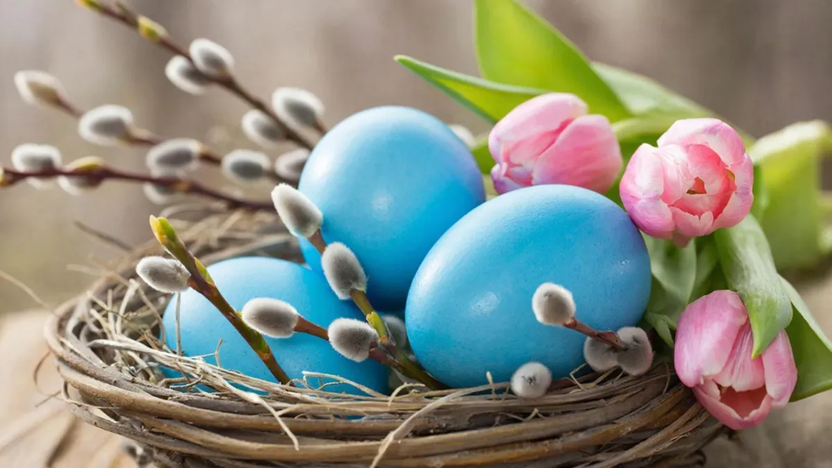 Не капуста: погружаем пасхальные яйца в это «пюре» — получаем изысканные небесно-голубые шедевры