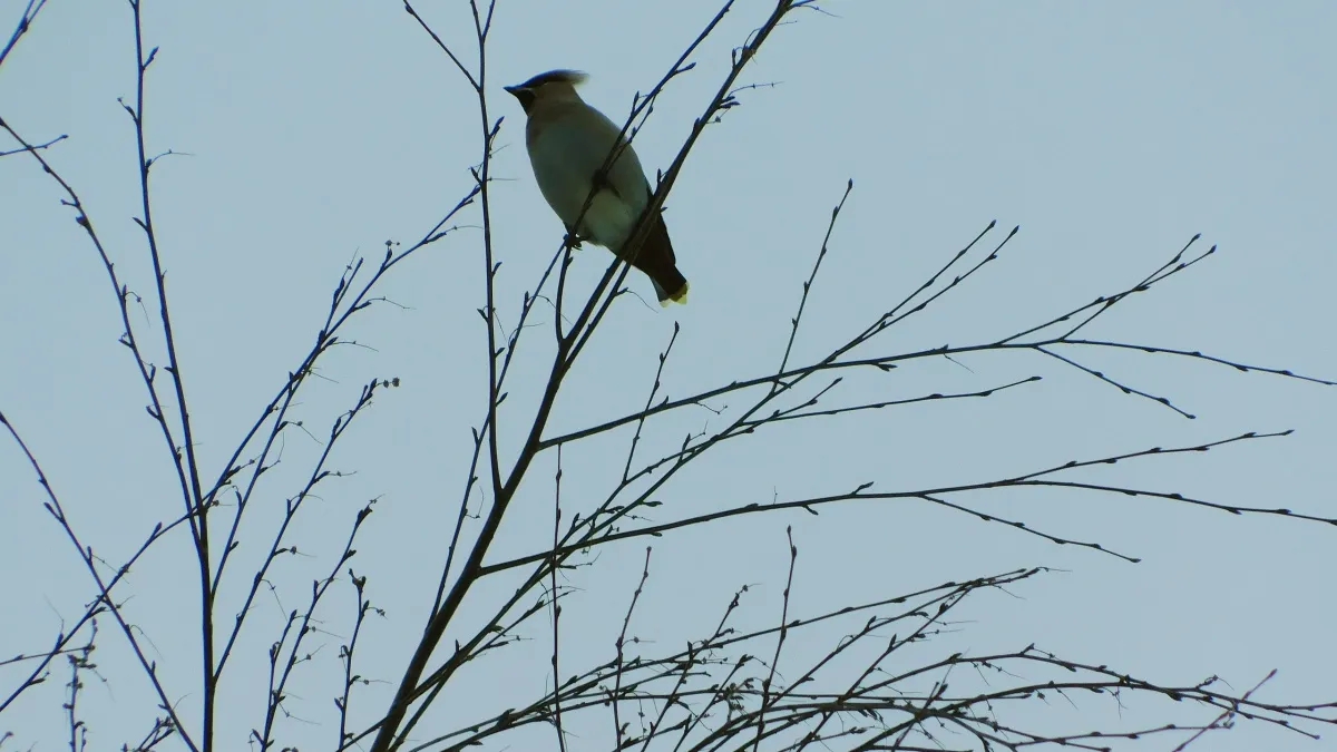 В Московской области ожидаются перепады температур: погода в регионе 16 марта