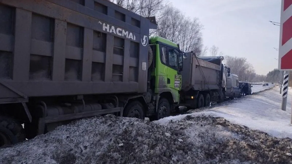В Московской области остановили грузовики с 60 кубометрами нелегального мусора