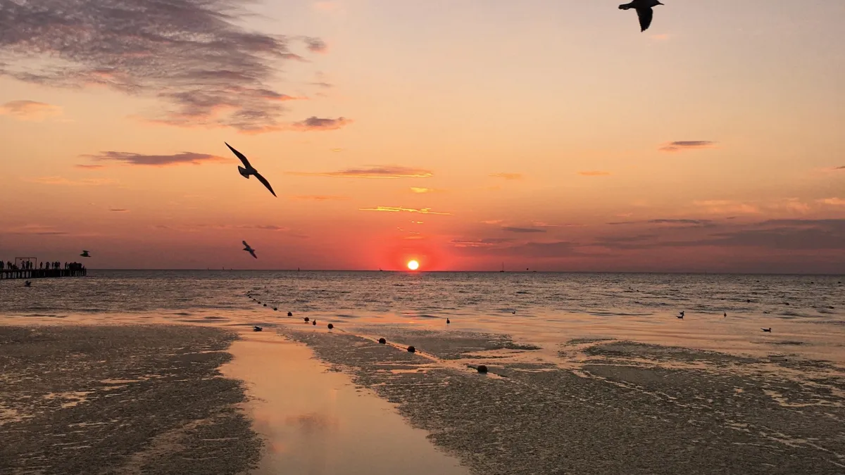 Жителям Подмосковья рассказали о стоимости отдыха в Анапе и на Мальдивах