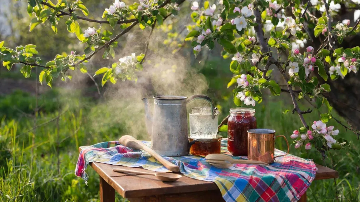 Вредители разбегутся как ошпаренные: что стоит полить кипятком весной на даче, чтобы защитить растения