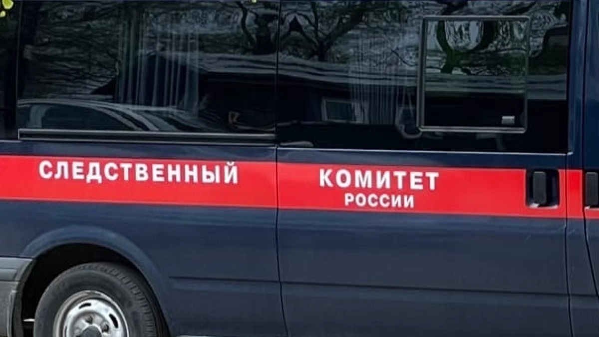 В Московской области женщину расчленили и спрятали останки в чемоданы