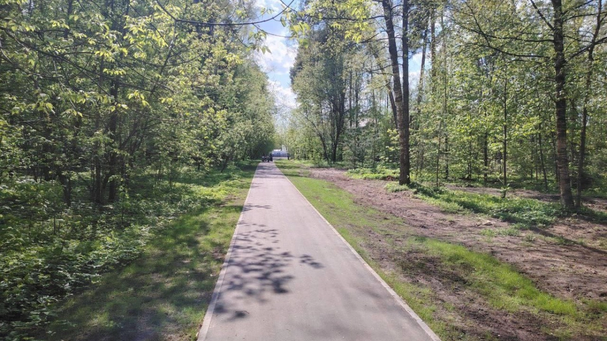 В Подмосковье обустроят более тысячи народных троп в 2026 году