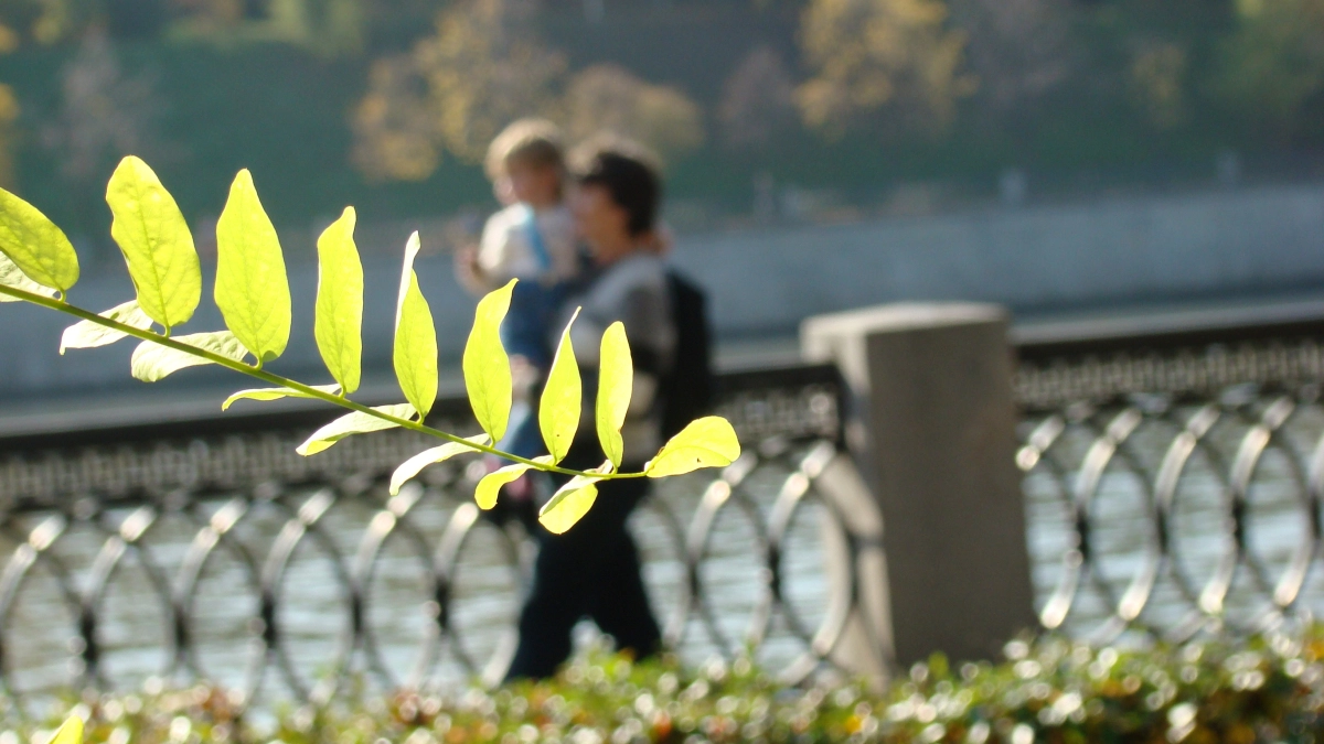 Рано обрадовались: метеорологи рассказали, какой будет весна на самом деле