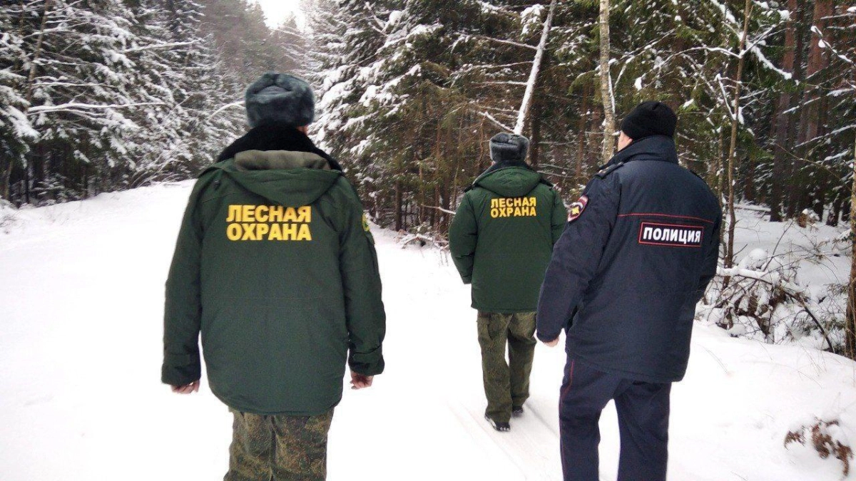 В Подмосковье взыскали почти 9 миллионов рублей штрафов с нарушителей правил безопасности в лесах