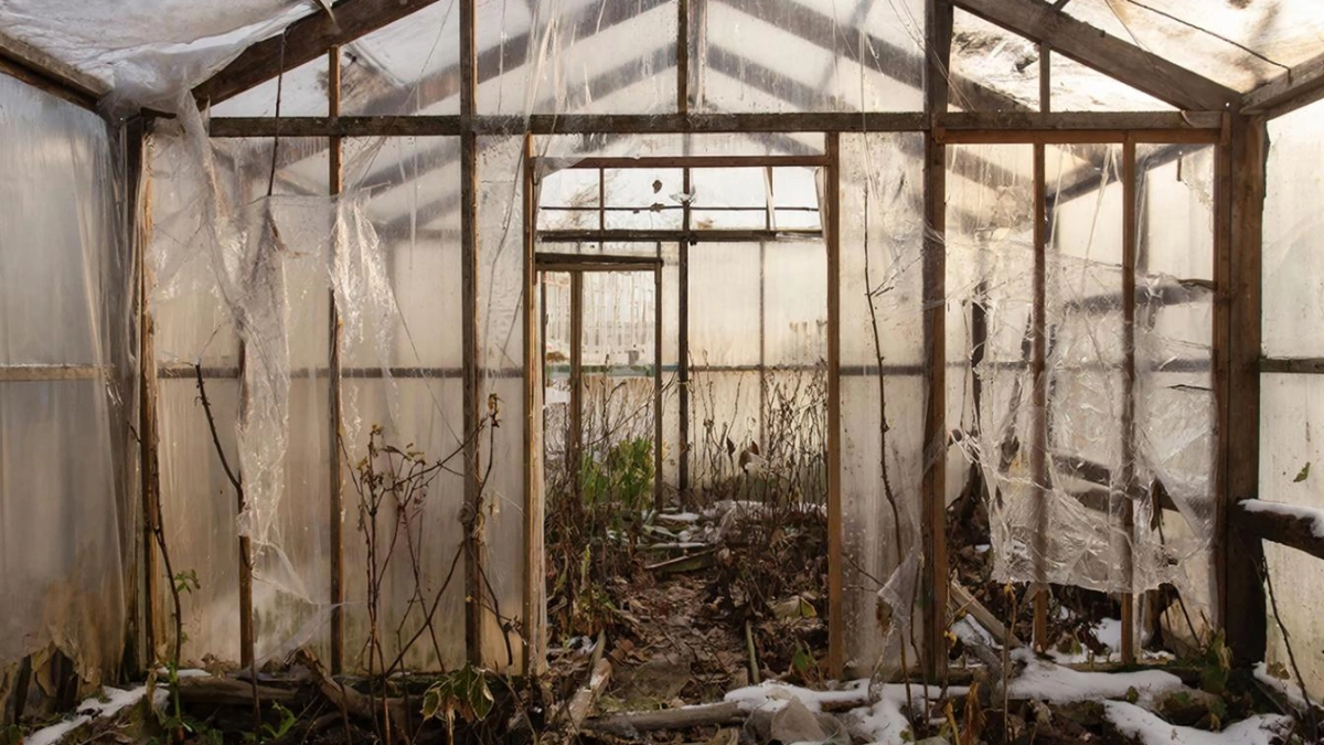 Очень хороший способ дезинфекции теплицы весной: два простых ингредиента заменят дорогие магазинные средства