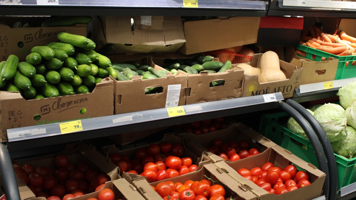 Подмосковье экспортировало 1,3 миллиона тонн сельхозпродукции в 78 стран мира по итогам 2025 года