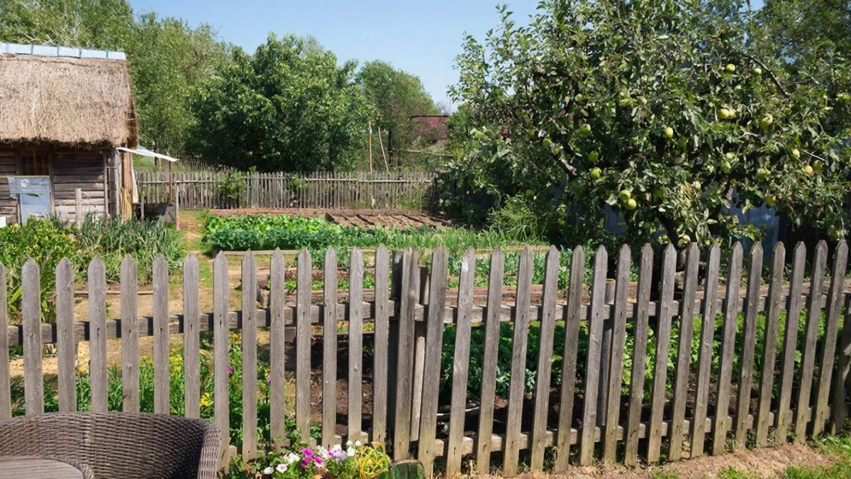 Вводятся новые правила для установки заборов на дачных участках − подробности