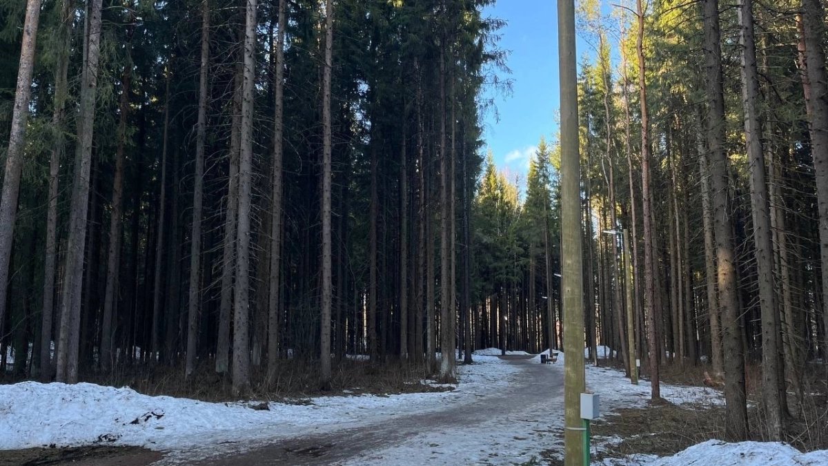 Погода в Подмосковье 22 марта: синоптики прогнозируют потепление до +10 градусов и отсутствие осадков