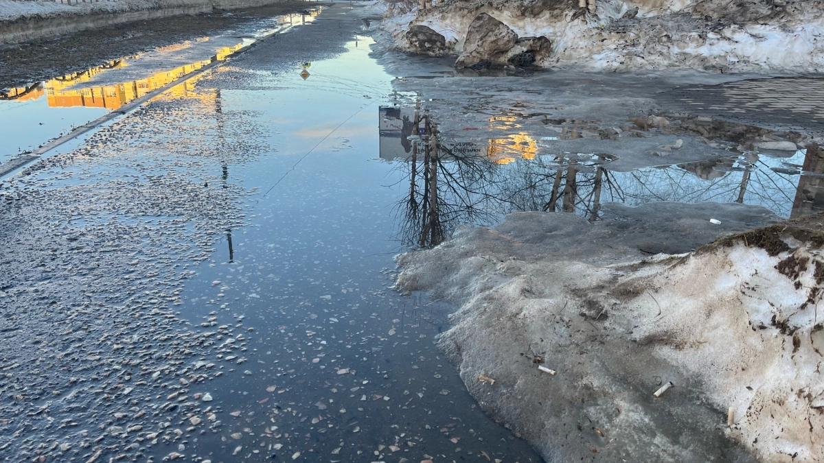 В Московской области ожидаются перепады температур: погода в регионе 23 марта