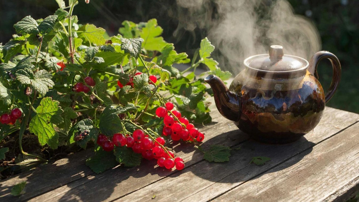 Вредители разбегутся как ошпаренные: что полить кипятком в марте на даче, чтобы защитить растения