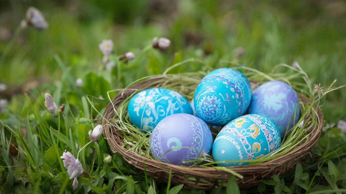 Крашу яйца в отваре из натуральных ингредиентов — получаю яйца небесно-голубого цвета