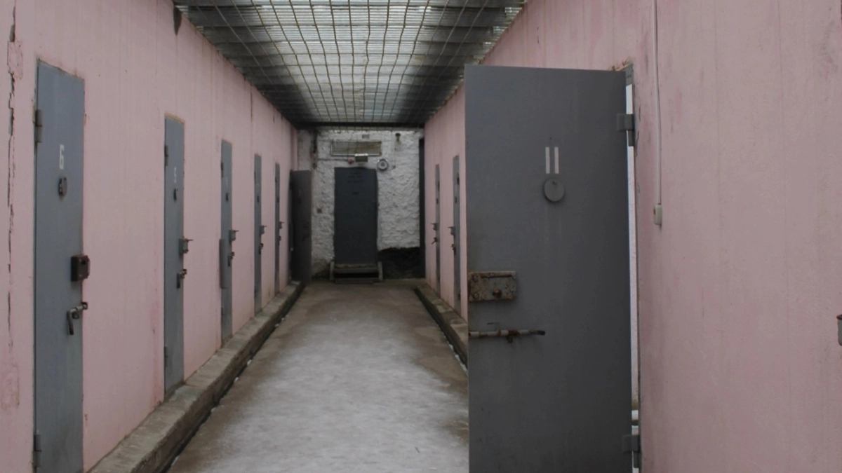 В Наро-Фоминске мужчину отправили в колонию строгого режима за смертельную ссору с ножом