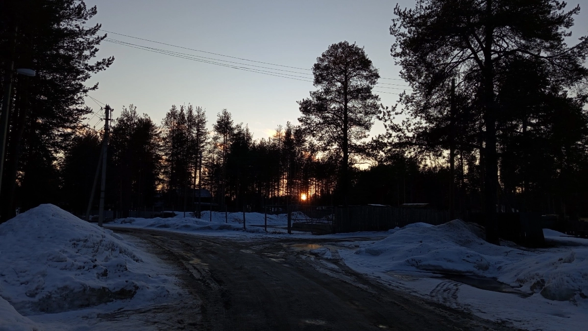 В Подмосковье волонтеры нашли в лесу бабушку, которая пролежала на снегу 8 часов