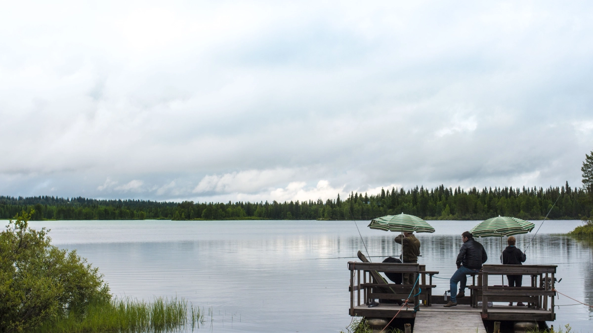Вода, которую совсем не хочется пить: прогулялись по популярному курорту Марциальные воды в Карелии