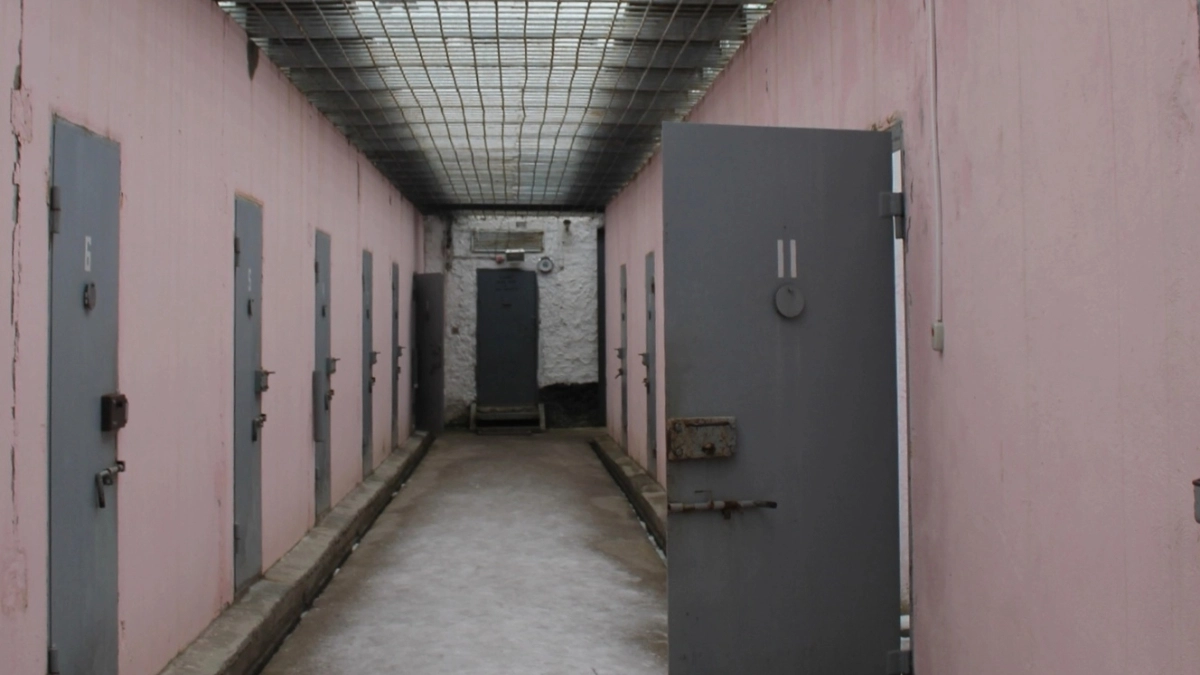 В Подмосковье осудили мужчину за серию нападений на пожилых женщин