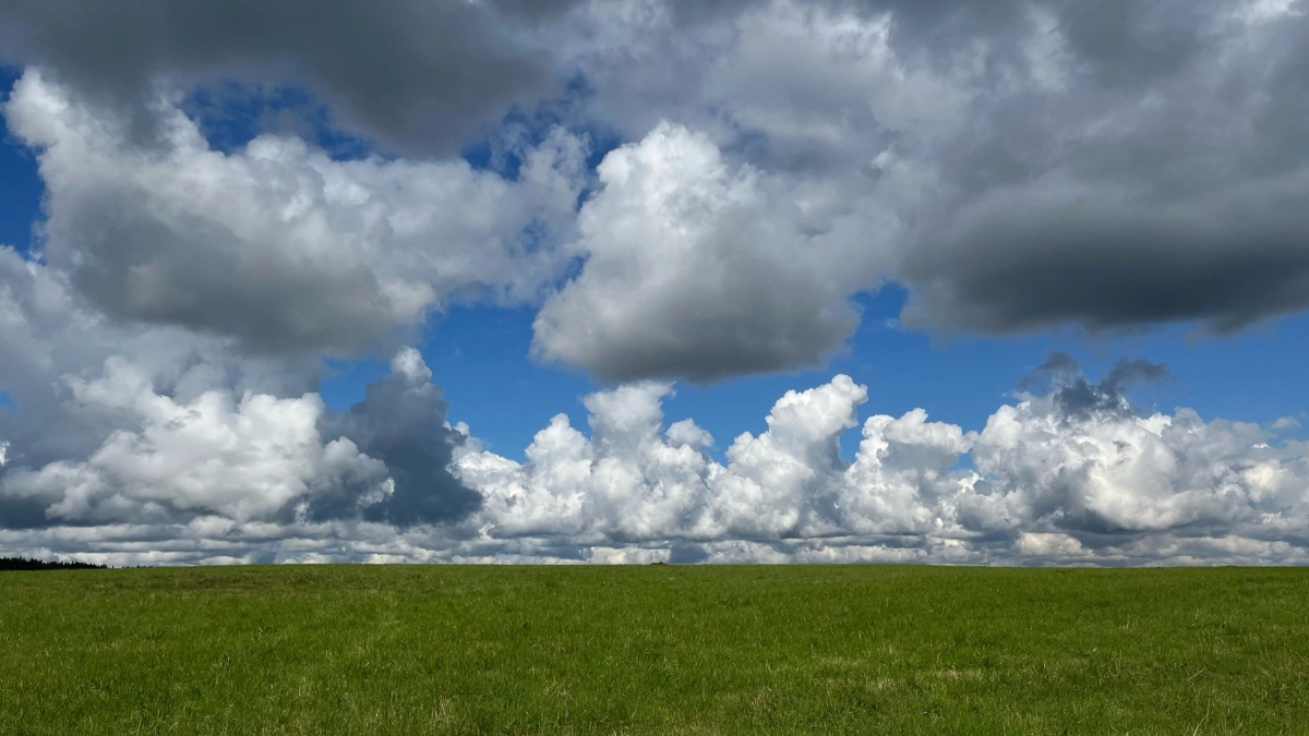 Более 785 гектаров земли получили фермеры в девяти округах Подмосковья