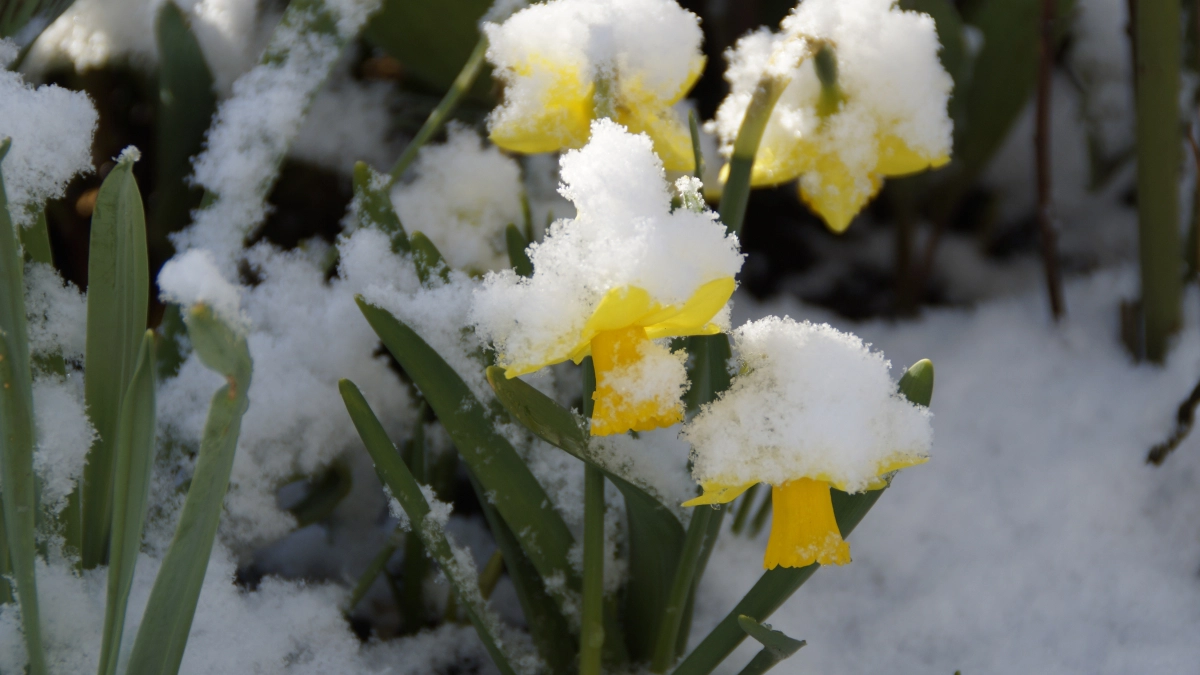 "Апрель будет полон сюрпризов": Гидрометцентр раскрыл, какая погода ждёт регионы России