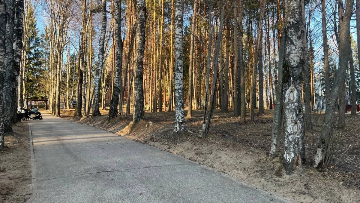 В Московской области 31 марта ожидается потепление до +19 градусов и облачность