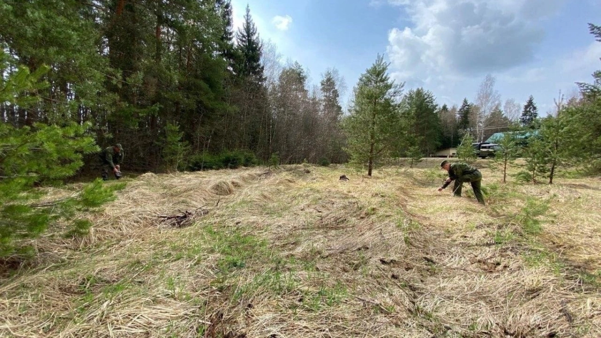 В Подмосковье стартует масштабная профилактическая акция для защиты лесов от огня