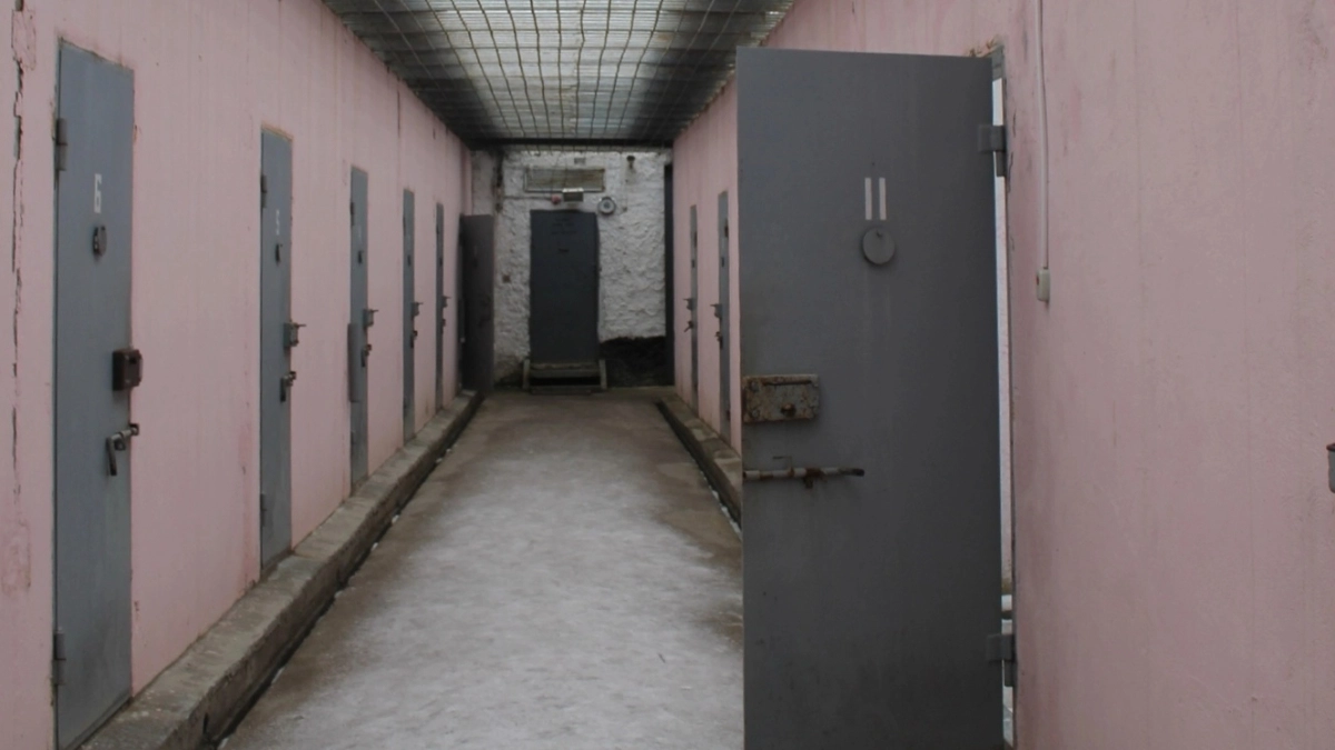 В Московской области осудили мужчину за убийство бабушки и брата