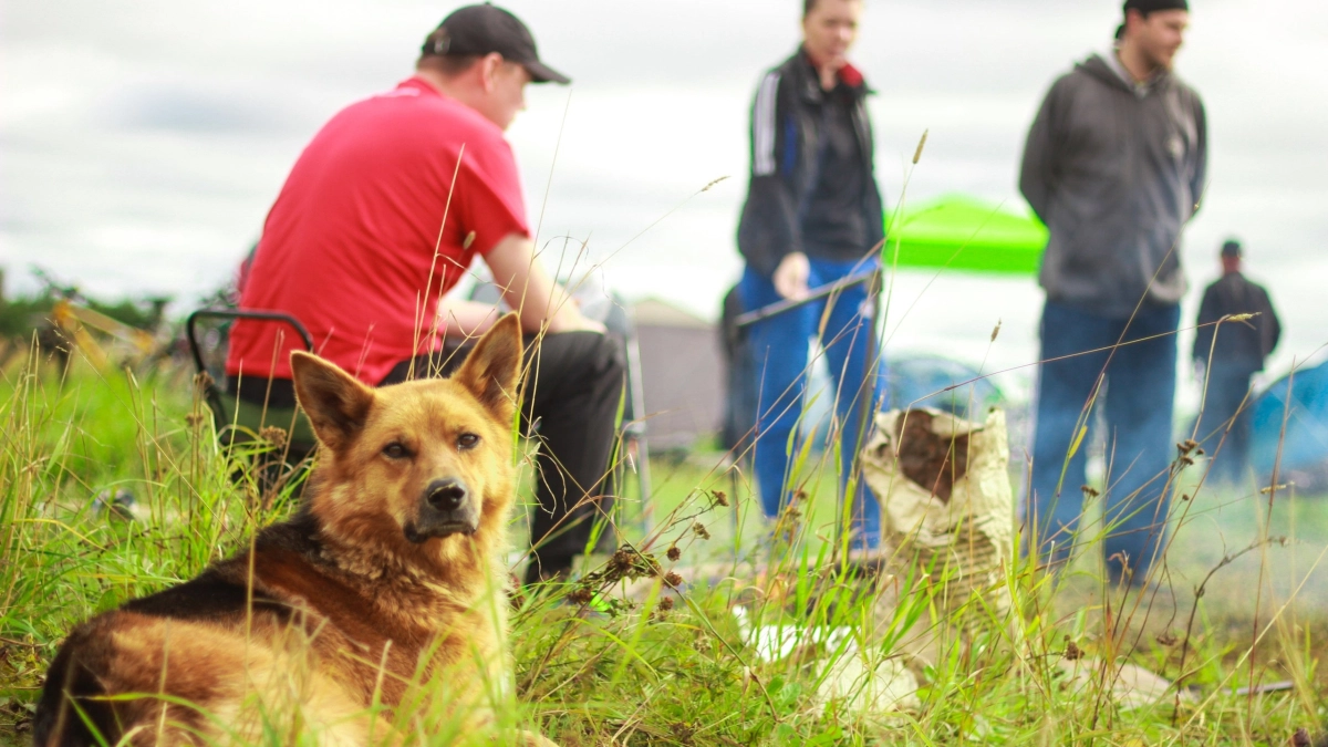 Жителям Подмосковья напомнили о правилах отдыха на охраняемых природных территориях