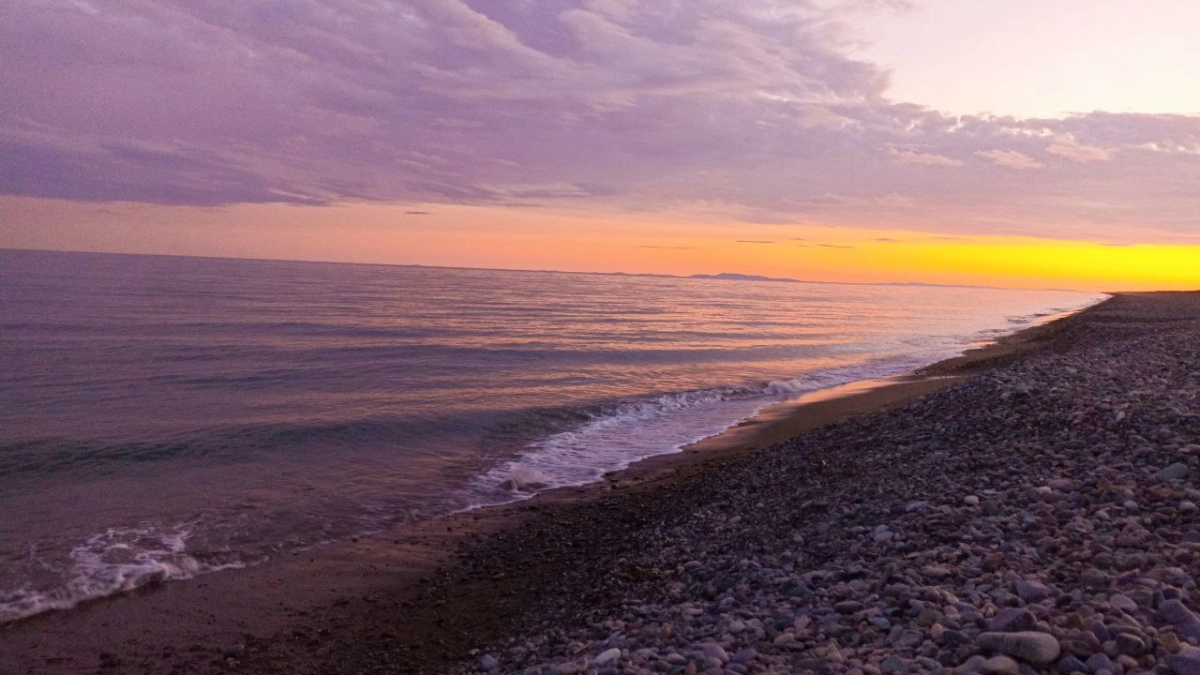 "Море грязное, люди мерзкие": российские туристы оставили честный отзыв об отдыхе на Черном море