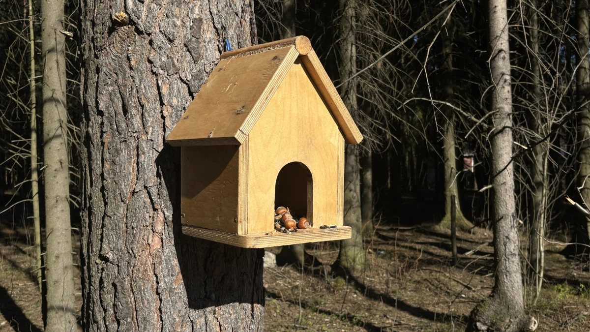 Жители Подмосковья развесили более 18 тысяч кормушек для птиц за зиму