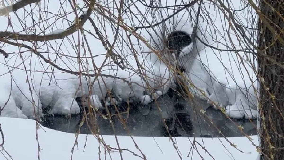 Кооператив из Наро-Фоминского округа заплатит 13 миллионов рублей за порчу реки Смородинки