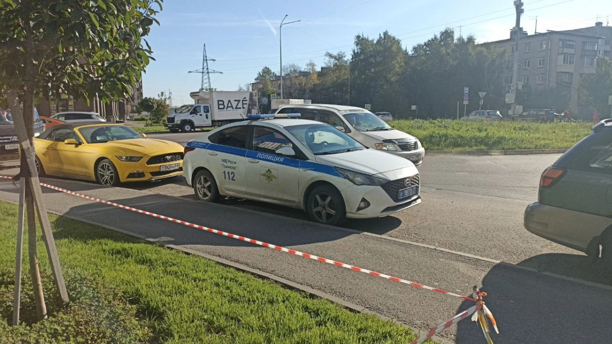 С завтрашнего дня запретят водить автомобиль: ГИБДД глобально меняет правила для водителей