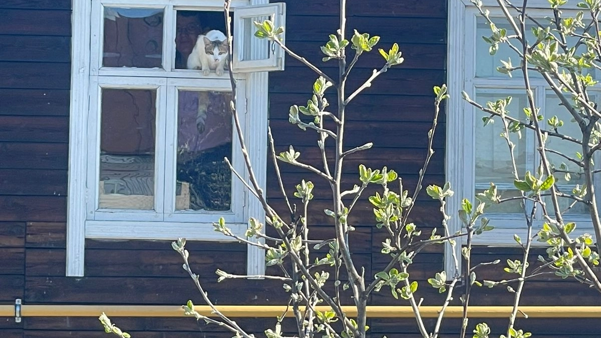 Аренда загородных домов в Московской области за год подорожала на 20%