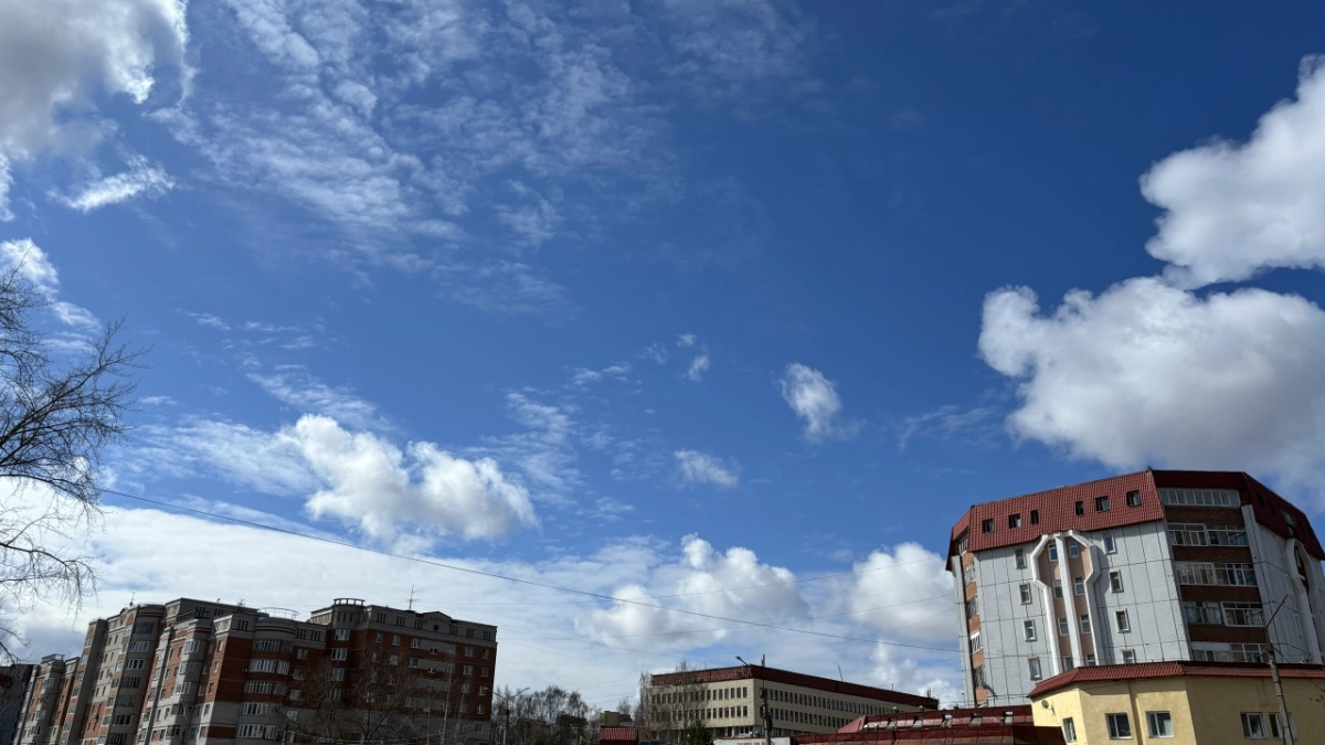 Погода в Московской области 5 апреля будет тёплой с дождём