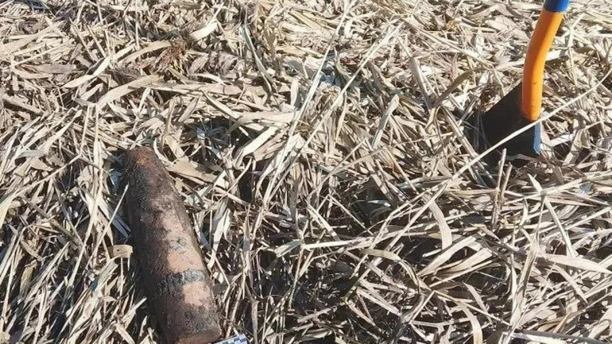 В Московской области уничтожили снаряд времен войны