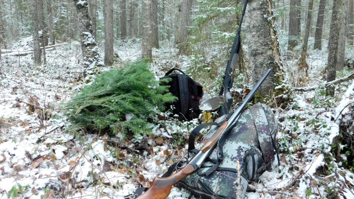 Житель Наро-Фоминска по ошибке застрелил человека вместо дикого зверя