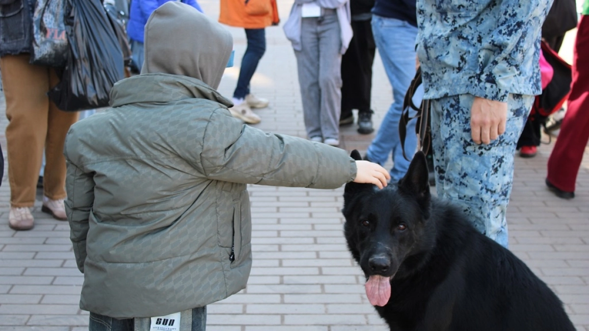 В Наро-Фоминске полицейские и общественники помогли бездомным животным найти хозяев