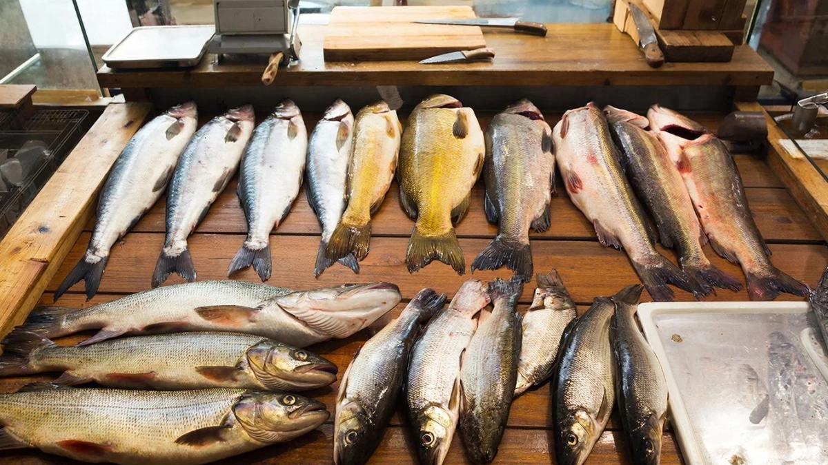 Какая рыба самая вредная на прилавках магазинов? Делюсь полезной информацией