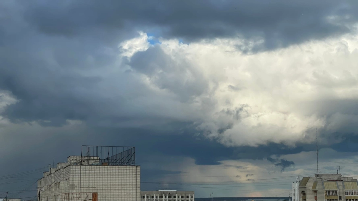 В Московской области ожидаются осадки и порывистый ветер: синоптики рассказали о погоде 10 апреля