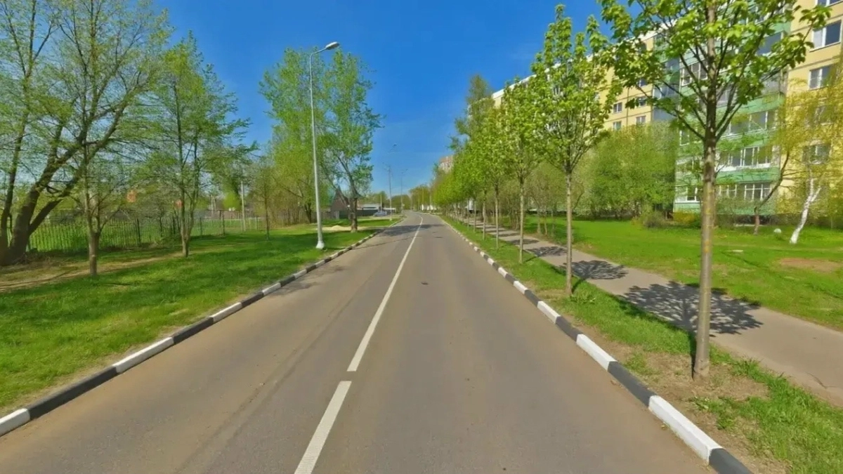 В Наро-Фоминске вдоль центральной дороги высадят молодые липы