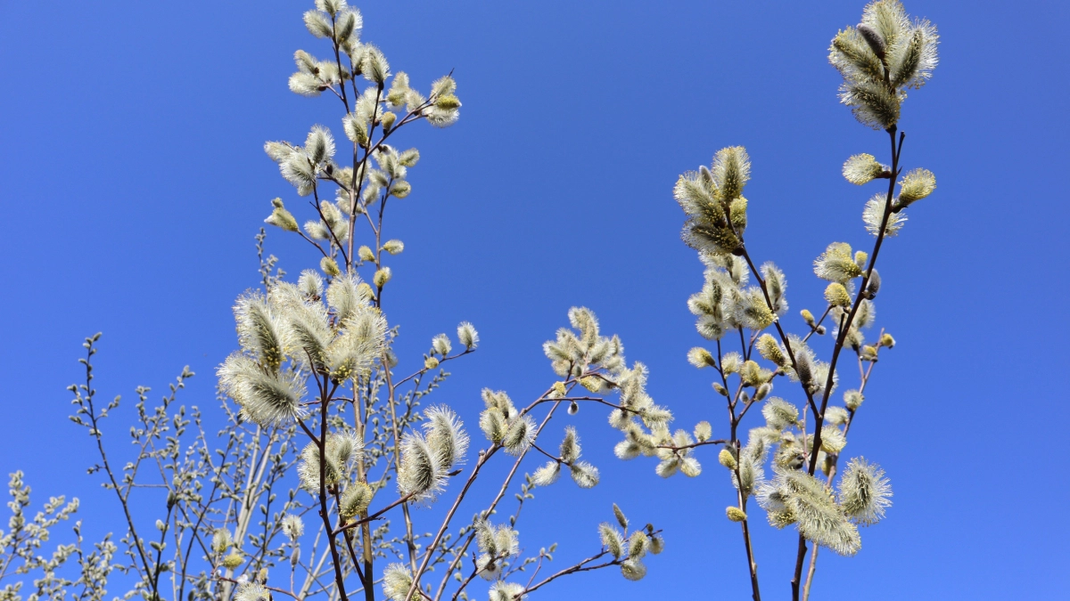 Жителям Подмосковья посоветовали принимать солнечные ванны после зимы
