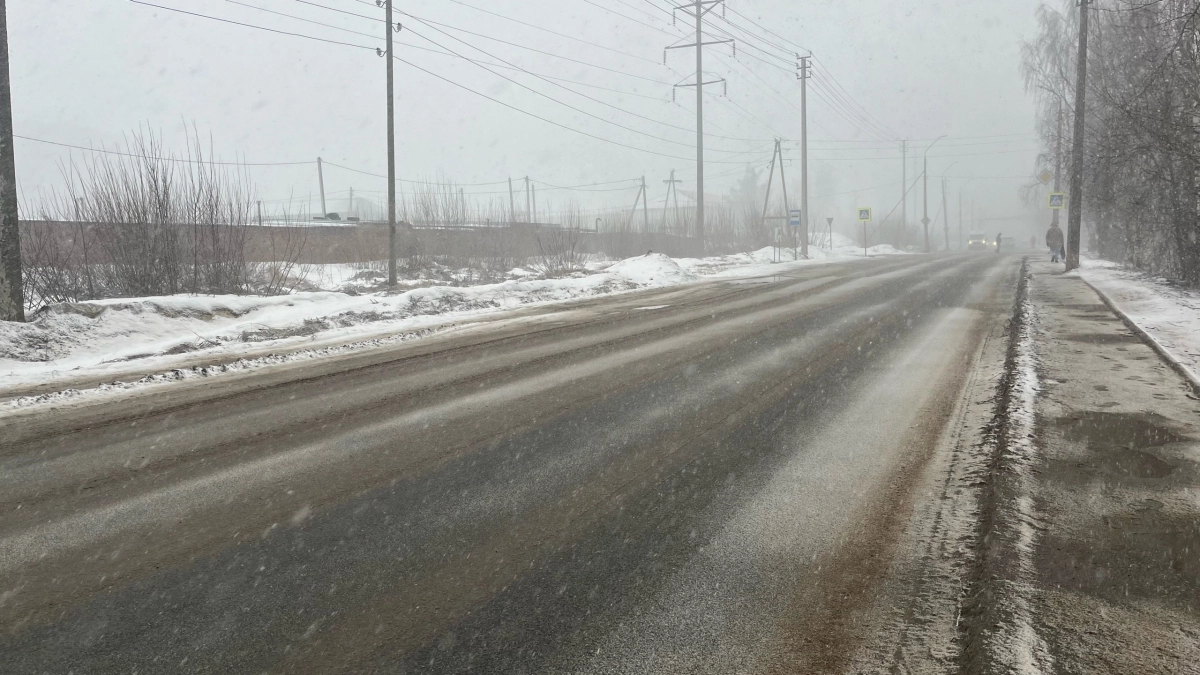 В Московской области 11 апреля ожидаются дождь и мокрый снег