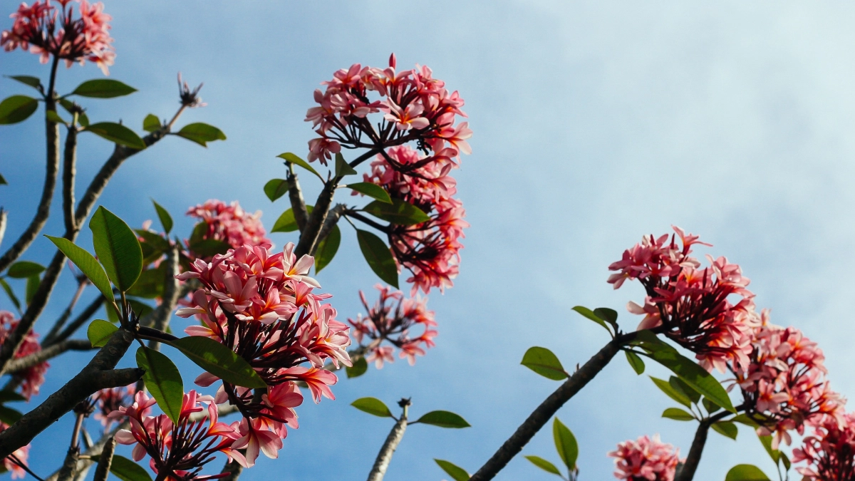 Синоптики предупредили о необычной погодной аномалии в России с 13 апреля