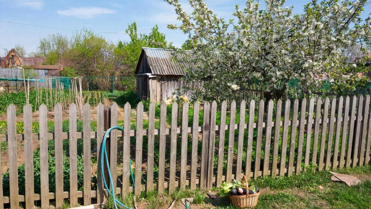 Вводятся новые правила для установки заборов на дачных участках: подробности