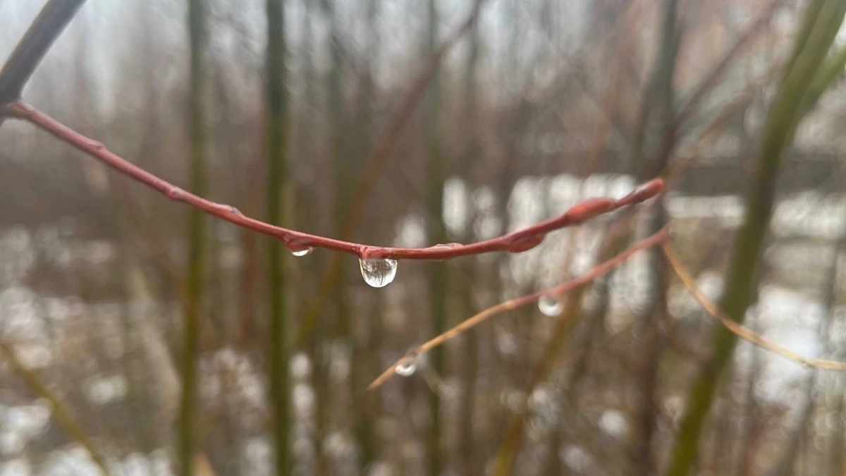 В Московской области 12 апреля ожидается дождливая погода с порывистым ветром